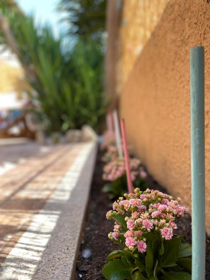 Yucca Apartment Olbia Ngoại thất bức ảnh